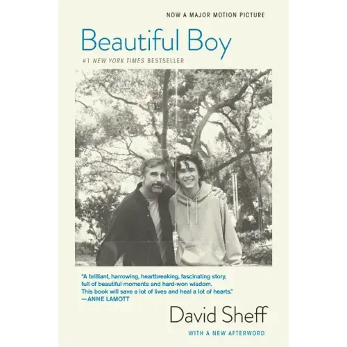 Beautiful Boy (Tie-In): A Father's Journey Through His Son's Addiction