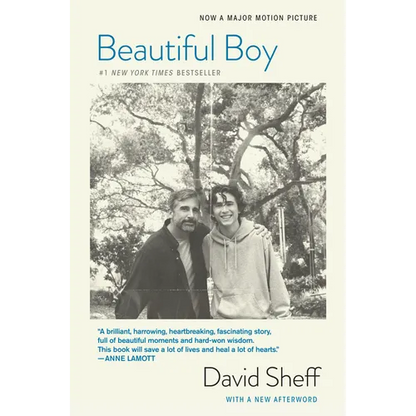 Beautiful Boy (Tie-In): A Father's Journey Through His Son's Addiction - Paperback